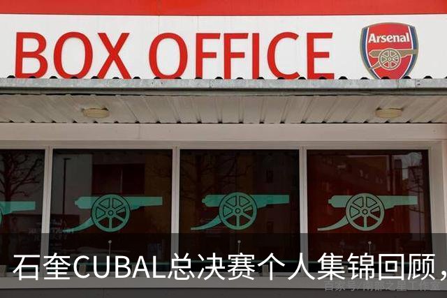 石奎CUBAL总决赛个人集锦回顾，全场得到33分11篮板