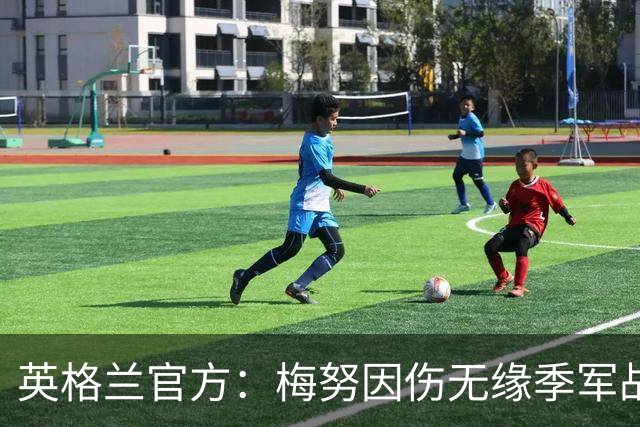 英格兰官方：梅努因伤无缘季军战 美加墨世界杯零出场