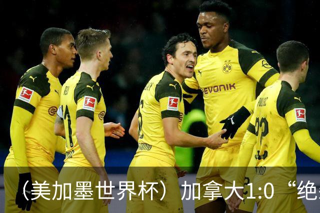 （美加墨世界杯）加拿大1:0“绝杀”南非 队史首进16强