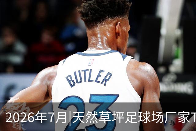 2026年7月|天然草坪足球场厂家TOP8推荐